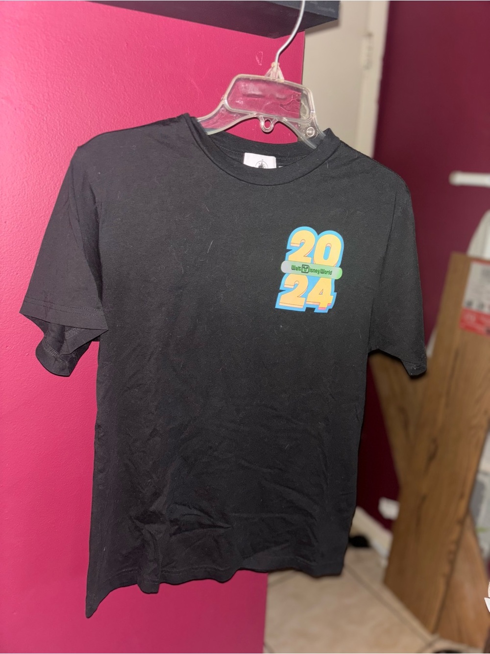 2024 Disney World Black Graphic Tee